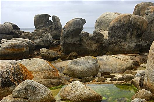 漂石,海滩,靠近,西海角,省,南非