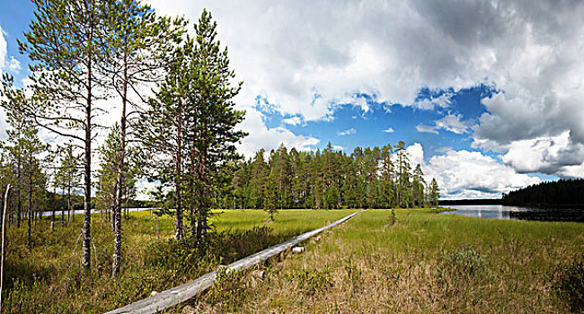 全景,徒步旅行,远足,区域,芬兰