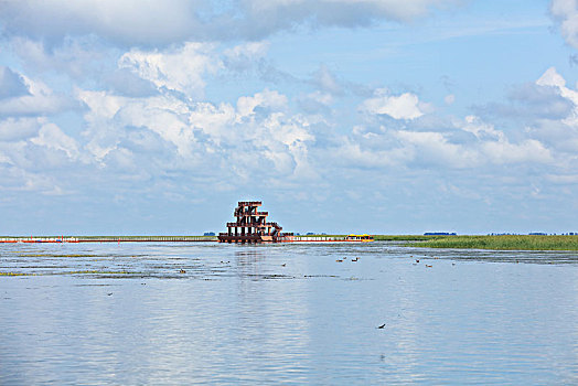 雁窝岛湿地