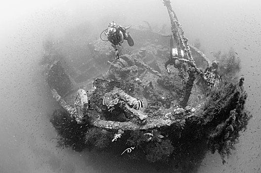 潜水,探索,残骸,日本,军舰,所罗门群岛