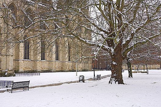 英格兰,北约克郡,公园,约克大教堂,积雪