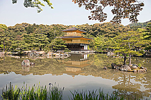 金阁寺,金亭,京都,日本