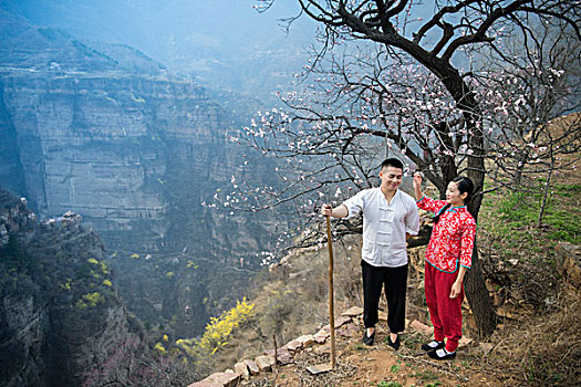 剧情,太行山,悬崖,山地,杏花,古装,摘菜,挖地