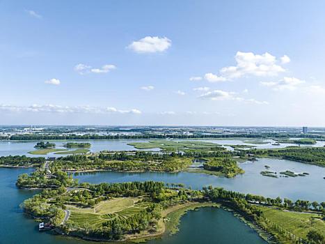 江苏东海,夏日湿地,景美如画