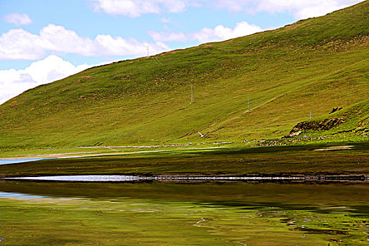 绿地山河流