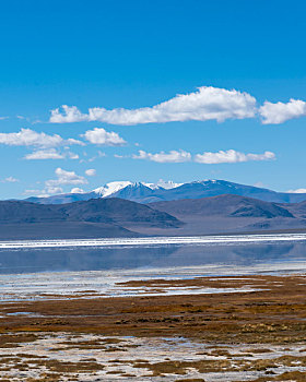 西藏日喀则扎布耶盐湖