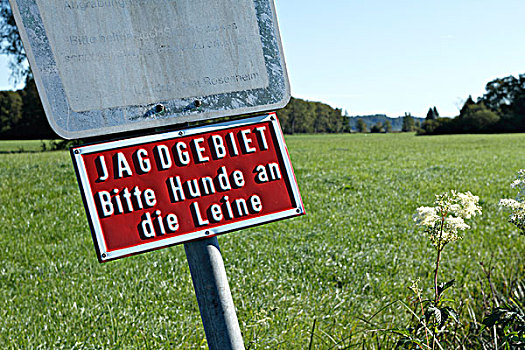 德国,警告,标识,狗,猎人,区域,齐姆高,上巴伐利亚,欧洲