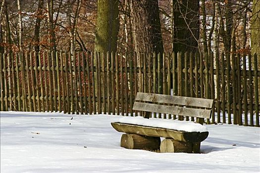 积雪,木制长椅,正面,木栏,树