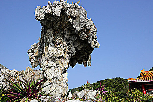 石头,装饰,低地,花园,海洋公园,香港