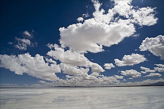 盐湖,乌尤尼,高原,玻利维亚,南美