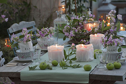 浪漫,桌饰,多年生植物,豌豆