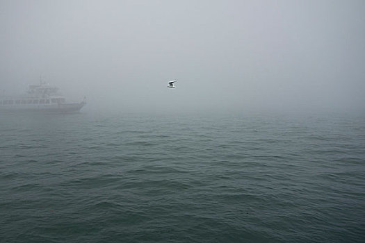 客船,雾