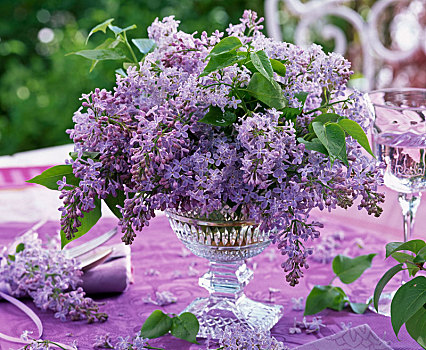 花束,亮光,紫色,丁香花,玻璃碗,桌布