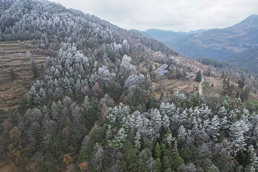 重庆酉阳,小界山上的第一场雪