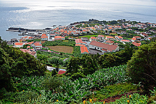 沿岸城镇,亚速尔群岛,葡萄牙,欧洲