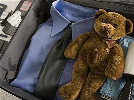 旅行,包,泰迪熊