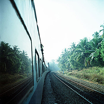 孟买,果阿,铁路,列车,旅行,茂密,热带,绿色,棕榈树,树,印度