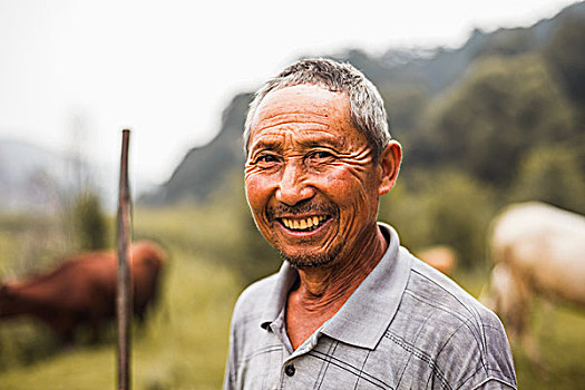 头像,微笑,农民,牲畜,背景,乡村,中国,山西