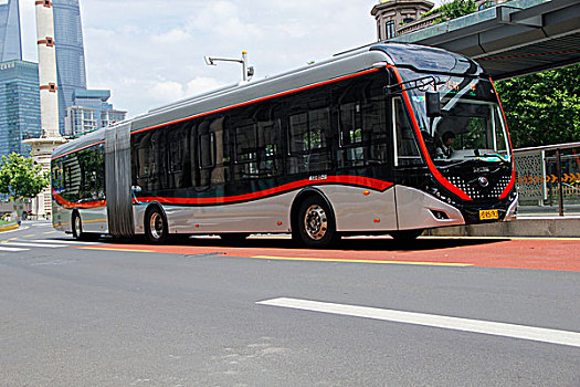 上海中运量公交