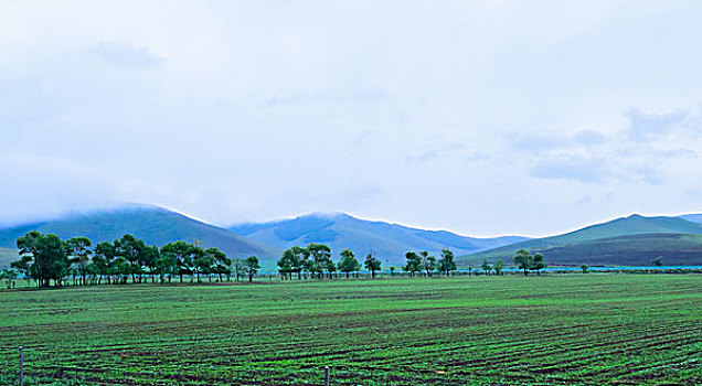 草原山峰云雾树林