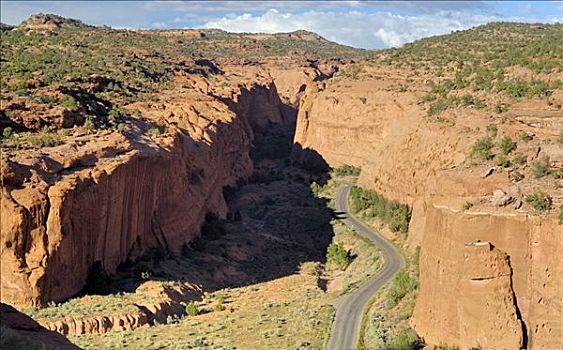 道路,弯曲,砂岩,峡谷,大阶梯-埃斯卡兰特国家保护区,犹他,美国,北美