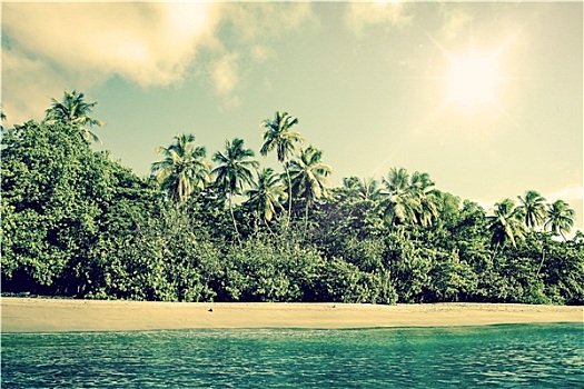 热带沙滩,风景,棕榈树