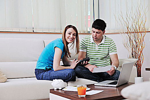 年轻,情侣,在家,现代,客厅,室内,工作,笔记本电脑,房子,金融,刨
