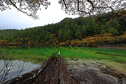 四川亚丁风景区珍珠海