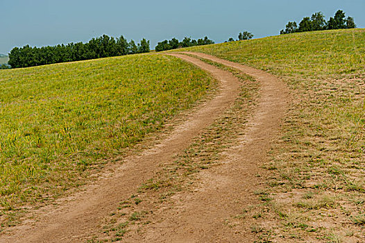 草原上的泥泞路