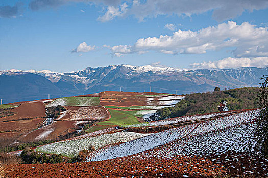 云南东川雪后,锦绣园,红土地