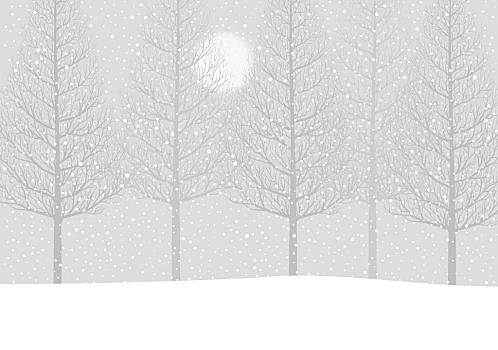 雪,冬天,树,太阳
