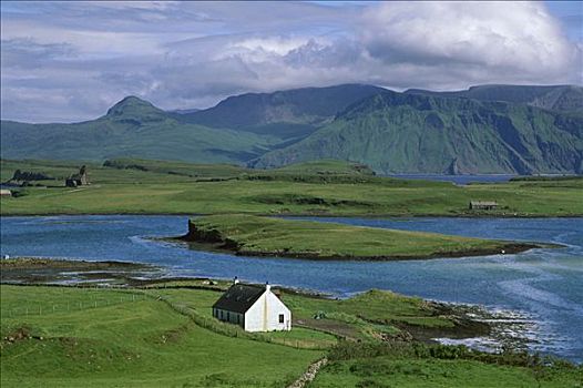 孤单,农场,屋舍,美人蕉,岛屿,内赫布里底群岛,苏格兰