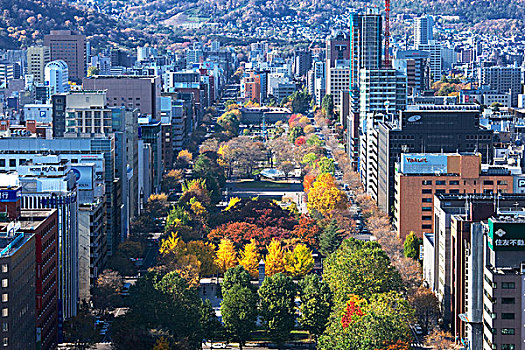 秋叶,札幌,大通公园