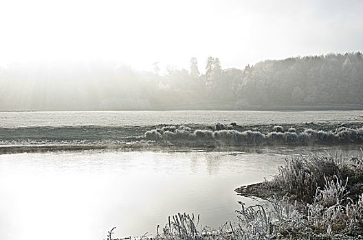 霜,湖,冬天