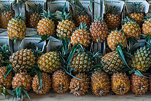 葡萄牙,亚速尔群岛,岛屿,市场,菠萝
