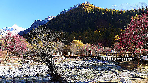 夏诺多吉雪山