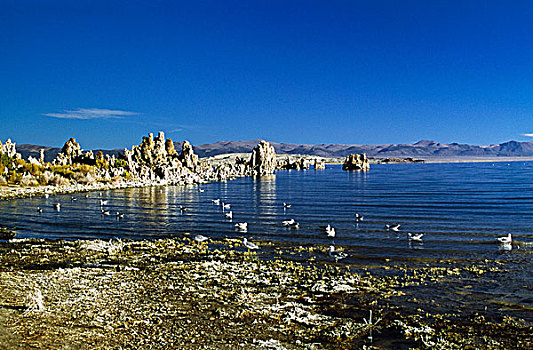 岩石构造,莫诺湖,加利福尼亚,美国