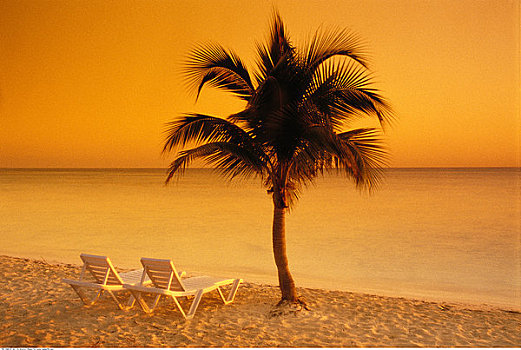 海滩,日出,古巴