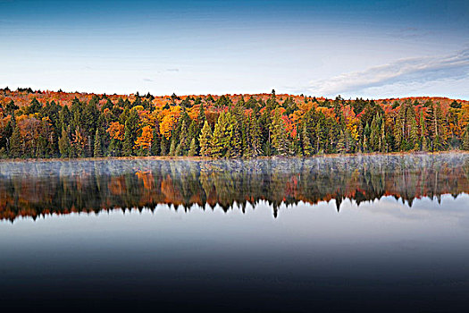 黄色,橙色,红色,秋叶,薄雾,反射,湖,阿尔冈金省立公园,安大略省,加拿大