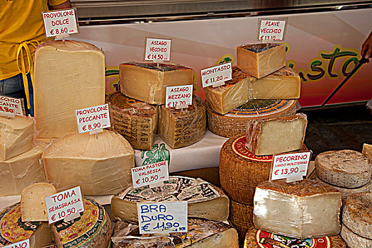 奶酪,市场货摊,坎诺比奥,省,意大利