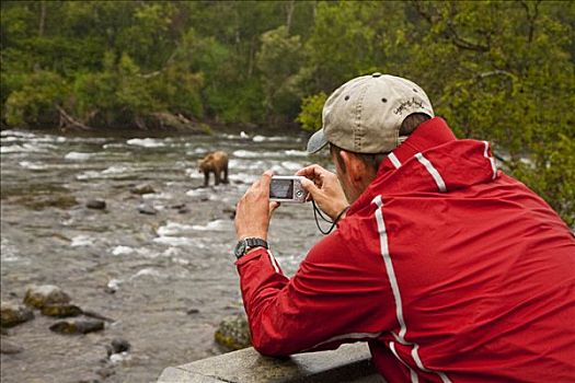 游人,数码照片,棕熊,红大马哈鱼,溪流,秋天,卡特麦国家公园,西南方,阿拉斯加
