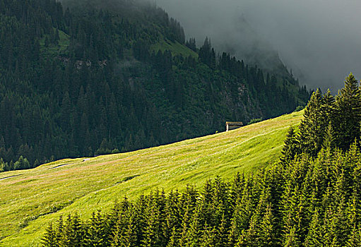 远景,房子,阿尔卑斯草甸,瑞士