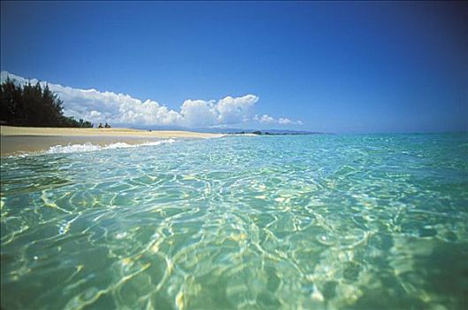 夏威夷,瓦胡岛,晶莹,清晰,水,北岸,海滩