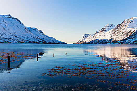 高山,反射,峡湾,风景,挪威