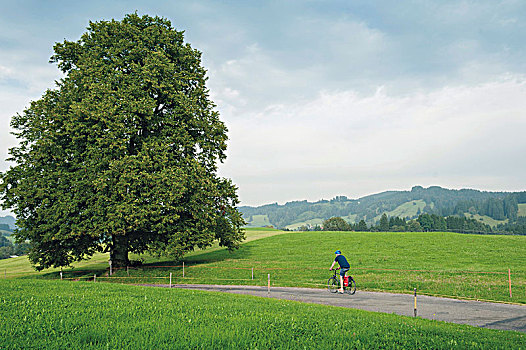 作家,骑自行车,区域,巴伐利亚,德国
