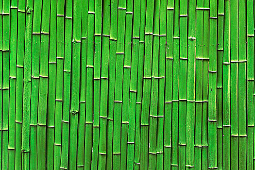 竹排绿竹
