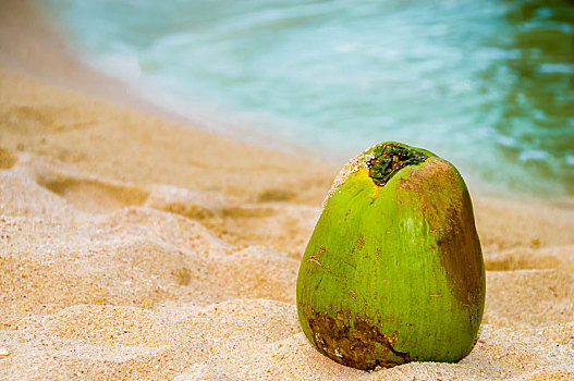 椰子,海滩