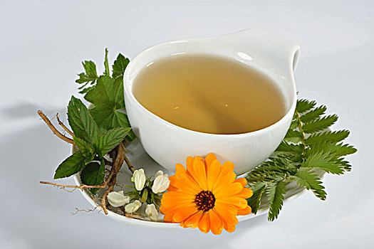 药茶,万寿菊,蜜蜂花,椒薄荷,缬草属植物,根