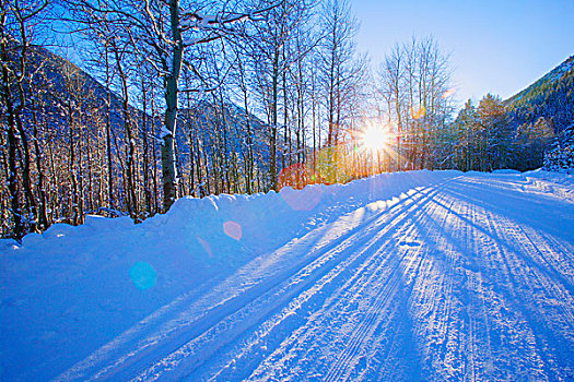 漂亮,冬天,道路