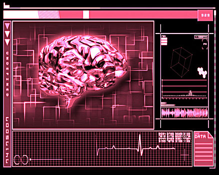 粉色,大脑,界面,科技